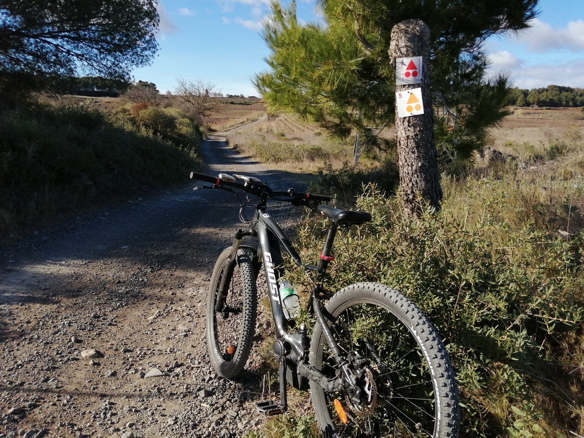 un VTTAE attend son pilote au bord du chemin, posé contre un arbre portant la fameuse flèche rouge du balisage de la GTMC