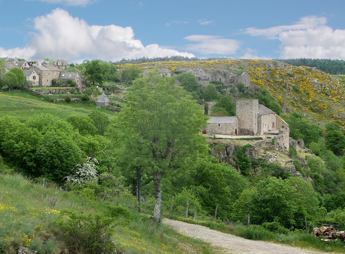 A flanc de montagne, le chateau et le hameau de Grizac