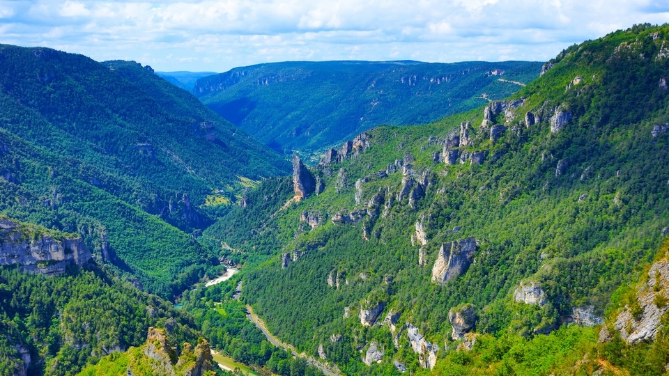 Les gorges du Tarn en vélo électrique Image 1